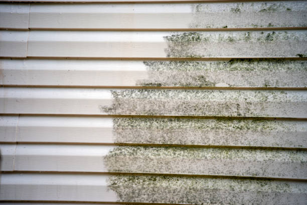 Best Yard Waste Removal  in Conashaugh Lakes, PA